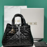 Christian Dior Medium Dior Toujours Bag